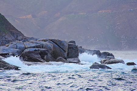 Seal, ön, tusentals, Rocks, Fantastiska, spännande, Söt