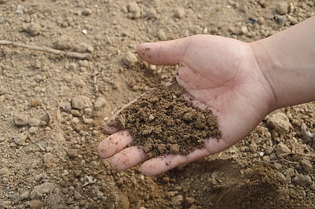 почвата, ръка, ферма, Градина, торове, компост, органични