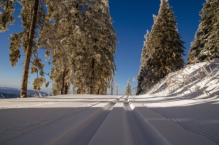Langlauf-Loipe, Schnee, Winter, Bäume, Blau, Skilanglauf, Trail