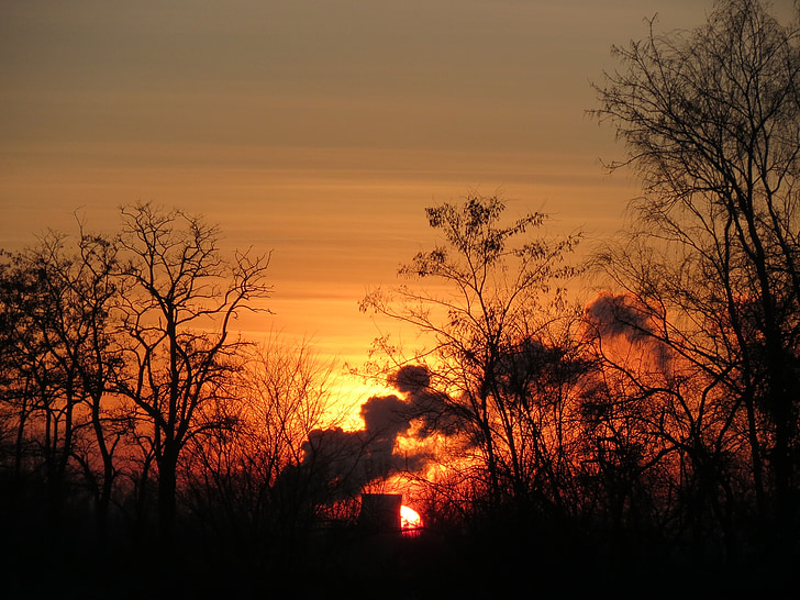sunset, steam, scene, dusk, trees, silhouettes, orange