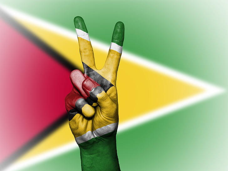 Guyane, paix, main, nation, arrière-plan, bannière, couleurs