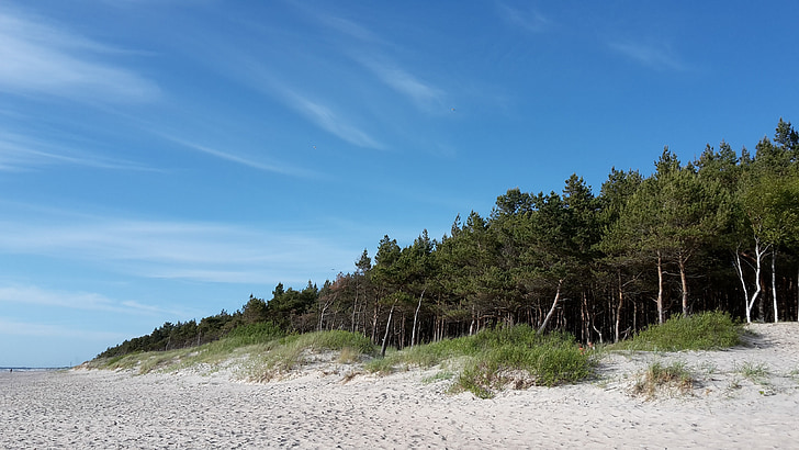 havet, stranden, Baltika, Palanga, Litauen, Pine, Sky