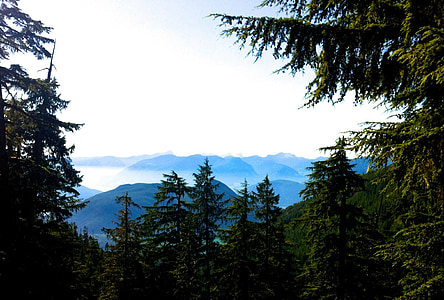 Panorama, hory, Woods, smrek, Howe sound, Vista