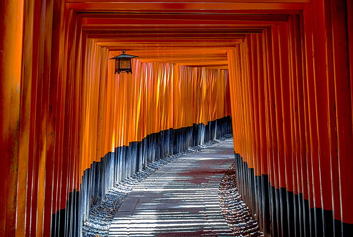 torii, gate, architecture, culture, traditional, japan, landmark