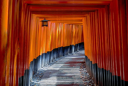torii, gate, architecture, culture, traditional, japan, landmark