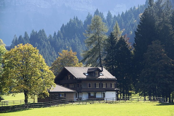 home, hunting lodge, hut, mountain hut, hiking, nature, forest
