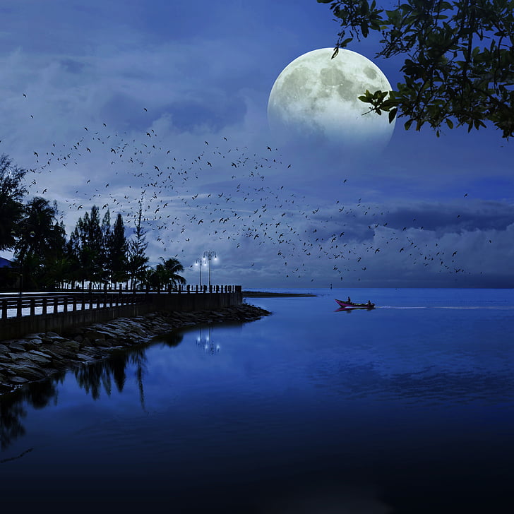 moon, sea, blue, ocean, nature, water, landscape
