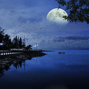 Lune, mer, bleu, océan, nature, eau, paysage