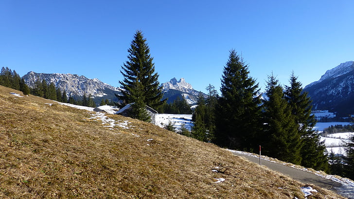 Tirol, tannheimertal, rojo flüh, Gimpel, invierno, primavera, montaña