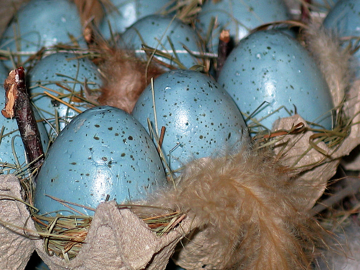 easter eggs, easter nest, easter, easter egg, spring, decoration, colorful