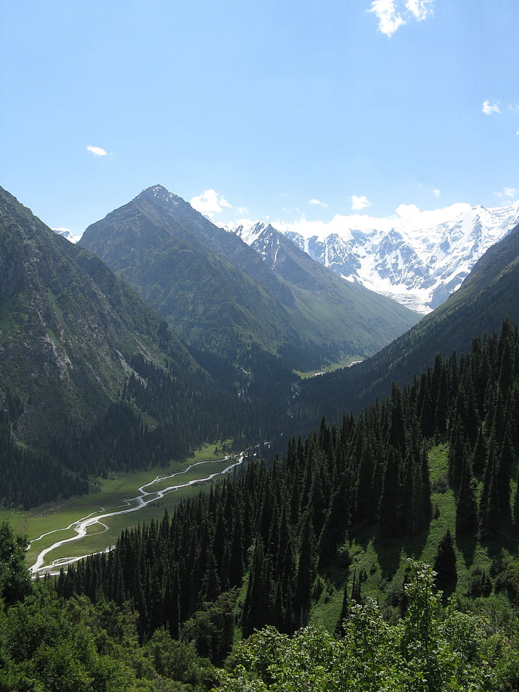 Kyrgyzstan, pegunungan, alam, pemandangan, Gunung, salju, hutan