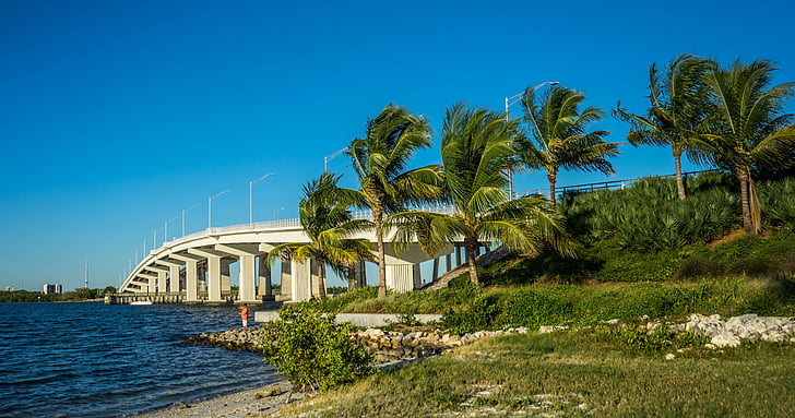 Marco Island, la Florida, puente, árboles de Palma, Golfo, Costa