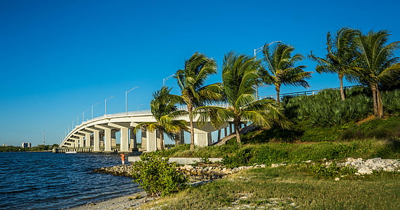 Marco Island, Floride, pont, palmiers, Golfe, littoral