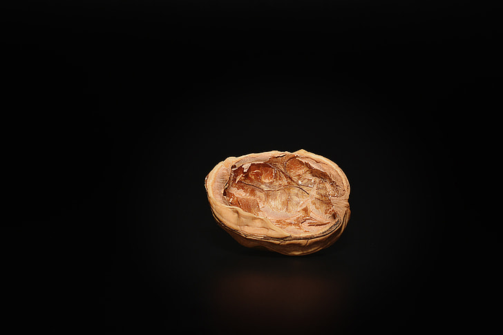 walnut, empty walnut, empty, halved walnut, cut in half, close