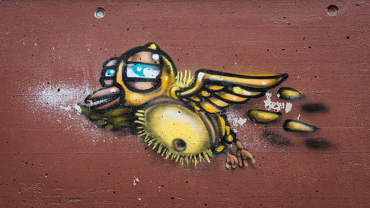 Graffiti, decorazione, verniciato, parete, arte, Figura, uccello