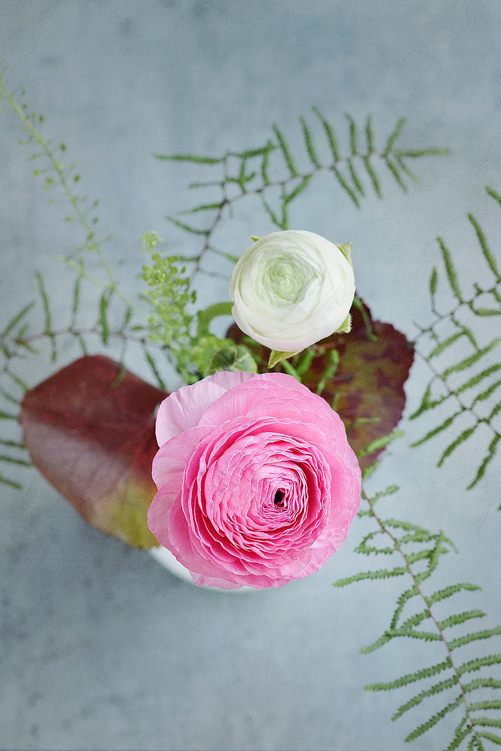 flowers, ranunculus, white, pink, leaves, bouquet, from above