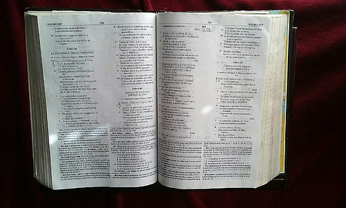 Bíblia, fé, livro, Santo, Jesus, Cristo, Escrituras