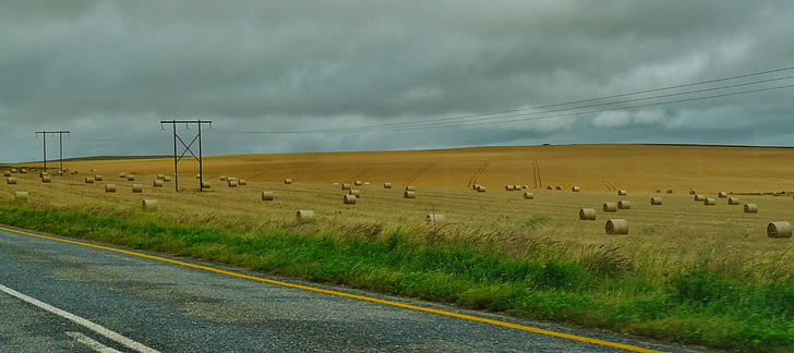 road, landscape, hay bales, field, nature, wide, meadow