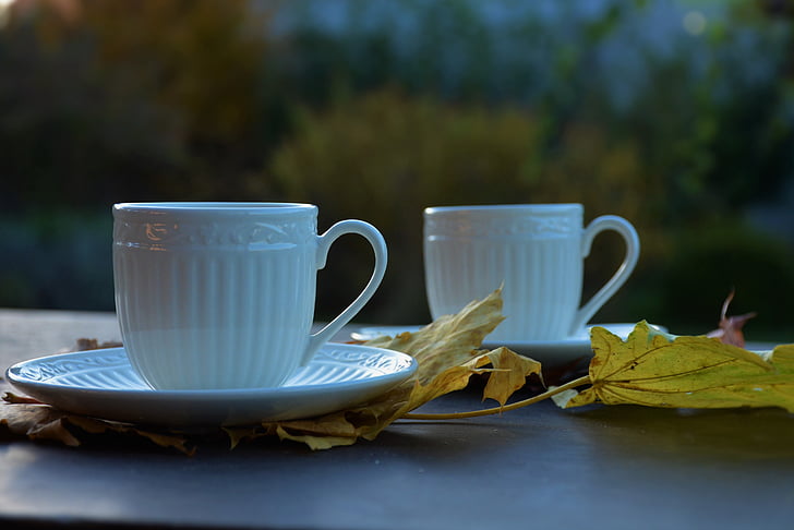 autumn, mugs, leaves, colors, dining