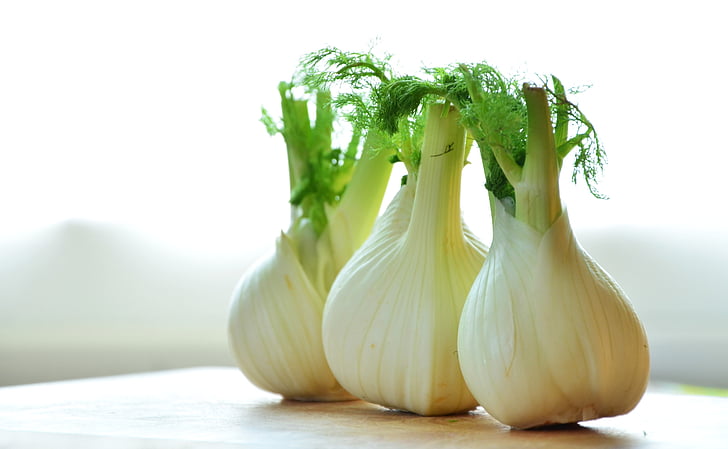 Free photo: vegetables, fennel, food | Hippopx