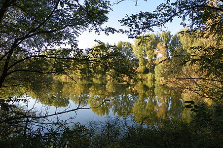 slötyi, Lago, árboles, naturaleza, frente al mar, junto al lago, otoño