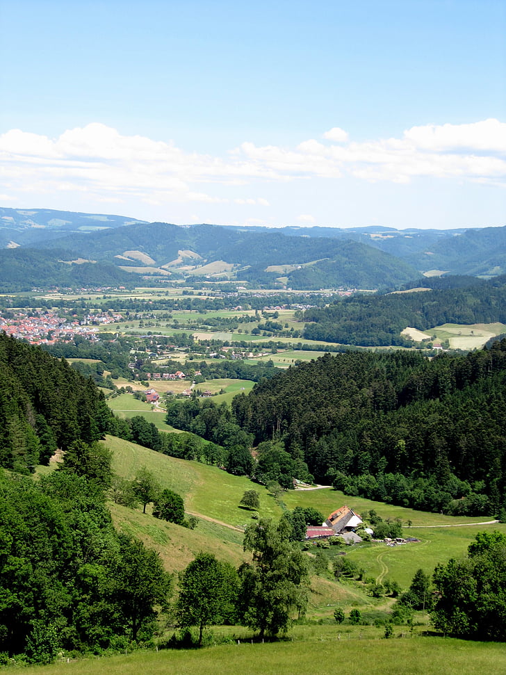 black forest, view, landscape, distant view, oberried