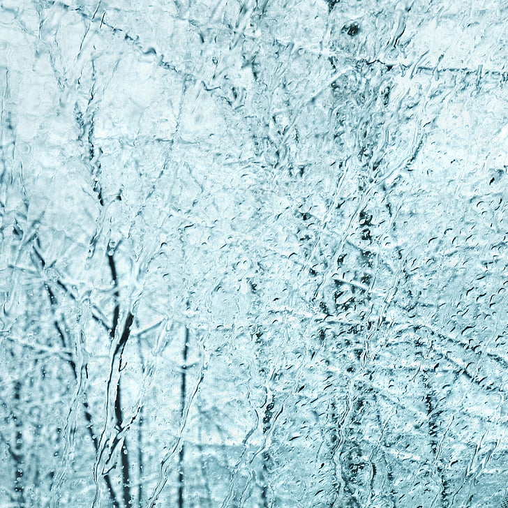 pohon, musim dingin, jendela, putih, dingin, hutan, embun beku