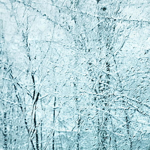 drzewa, zimowe, okno, biały, zimno, lasu, mróz