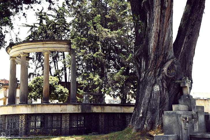 kapinės, Bogotá, mirties
