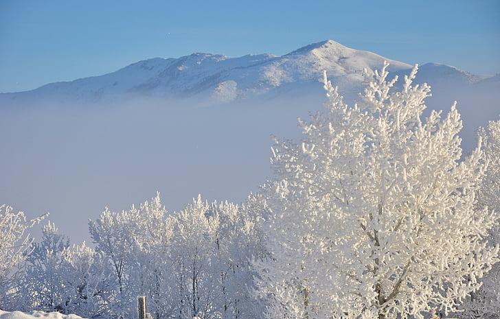 Hoar frost, Alba ca zapada, peisaj de iarna, Frost, congelate, peisaj, natura