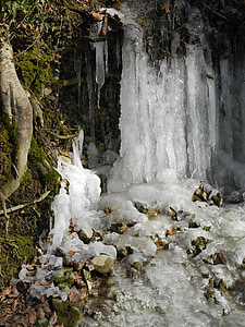 jääpuikko, jäädytetty, kylmä, jäinen, talvi, Ice, Luonto