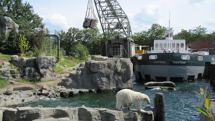 Zoo hannover, Adventure zoo, Yukon bay, isbjörn, Niedersachsen