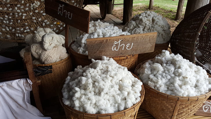 cotton, nature, white, fabric, material, weaving, food