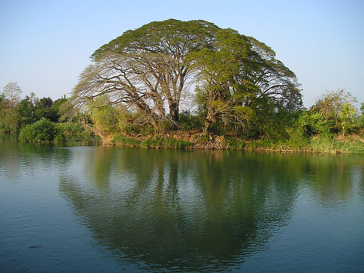 laos, tree, water, reflection, mirroring, southeast, asia