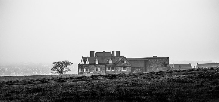 feltet, Whitby, svart-hvitt, hytte, landlig sone, hjem, landsbyen