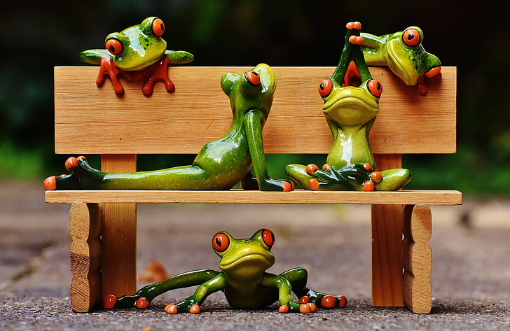 frogs, yoga, bank, bench, relaxed, figure, funny