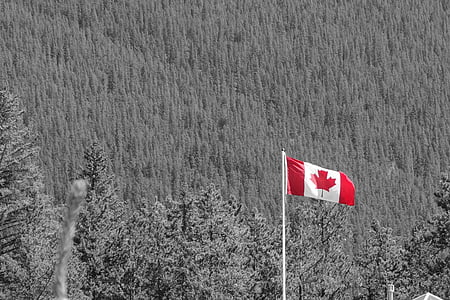 Kanada, Kanadan lippu, kansallispuisto, lippu, ulkona