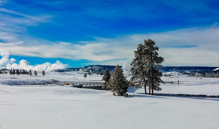 Yellowstone, Taman Nasional, Wyoming, musim dingin, salju, pemandangan, alam