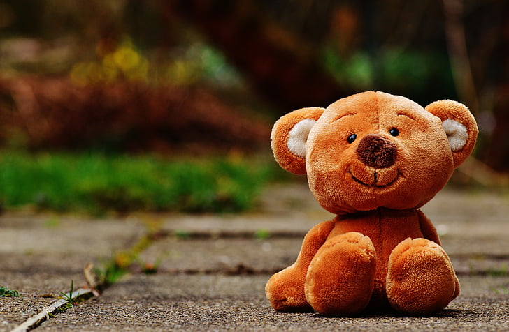 gấu, Teddy, đồ chơi mềm, thú nhồi bông, gấu bông, gấu nâu, trẻ em