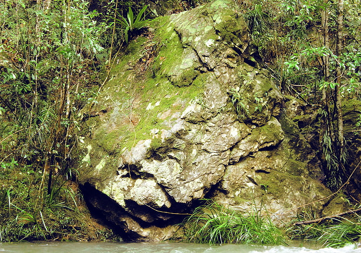 stein, Moss, elvebredden, regnskogen, Rock, tekstur, grønn