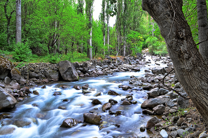 rieka, Príroda, Turecko, Príroda, Zelená, holým nebom, Natur