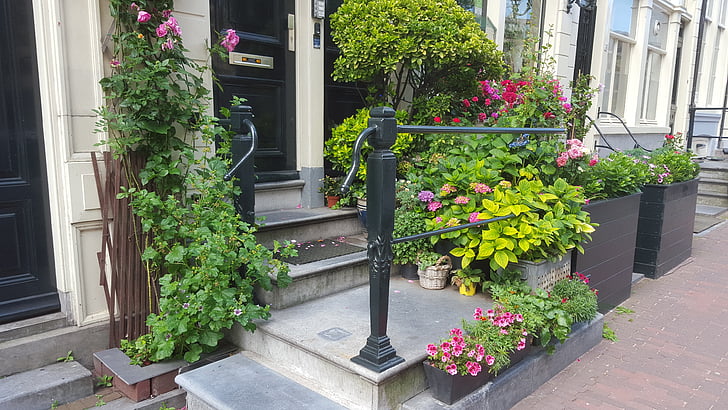 Άμστερνταμ, είσοδο σπιτιού, λουλούδια, μπροστινή πόρτα, περιοχή εισόδου, φυτό, άνθιση