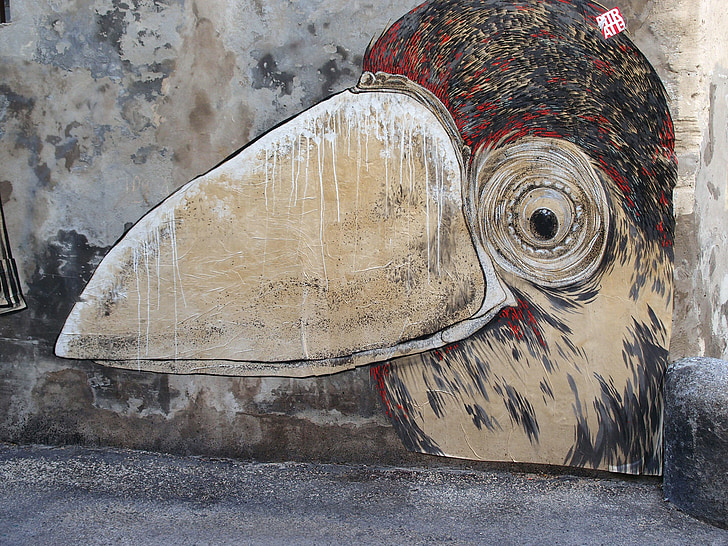 grafiti, bird, road, art