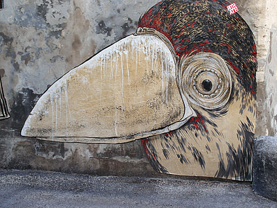 grafiti, pássaro, estrada, arte