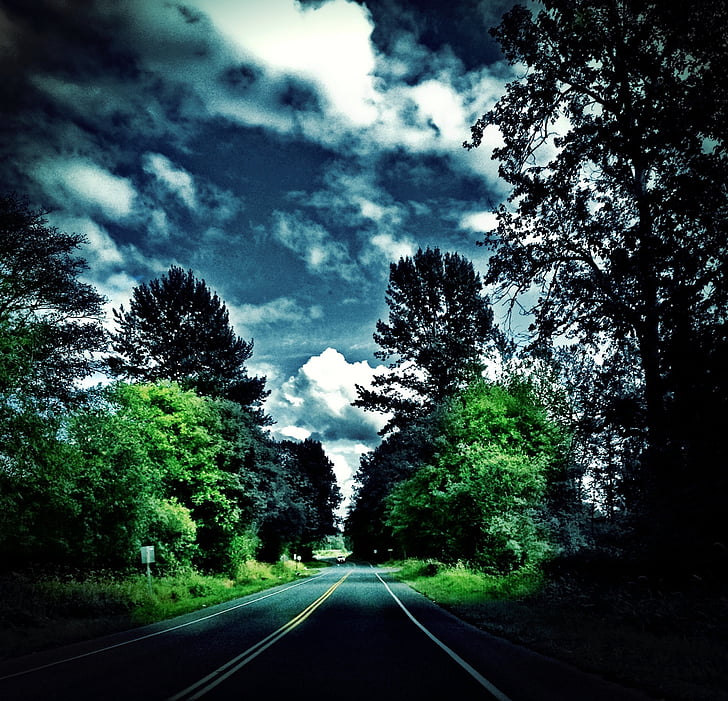 whatcom, county, washington, rural road, clouds, country, countryside