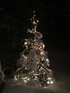 kerstboom, sneeuw, verlichte, Kerst, boom decoraties, decoratie, komst
