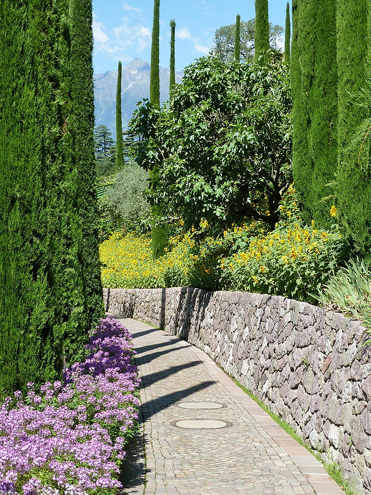 away, garden, south tyrol, park, lebensbaum bushes, path, flower