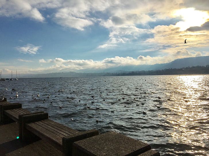 Zurich, jezero, vode, promenadi, vode, pozimi, februarja