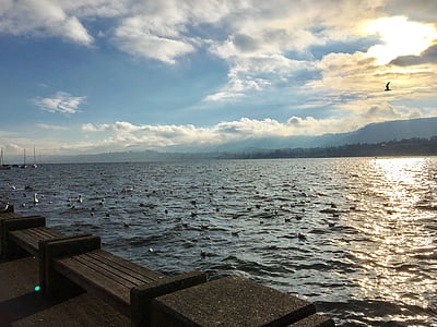 Zurich, sjön, vatten, strandpromenaden, vatten, vinter, februari