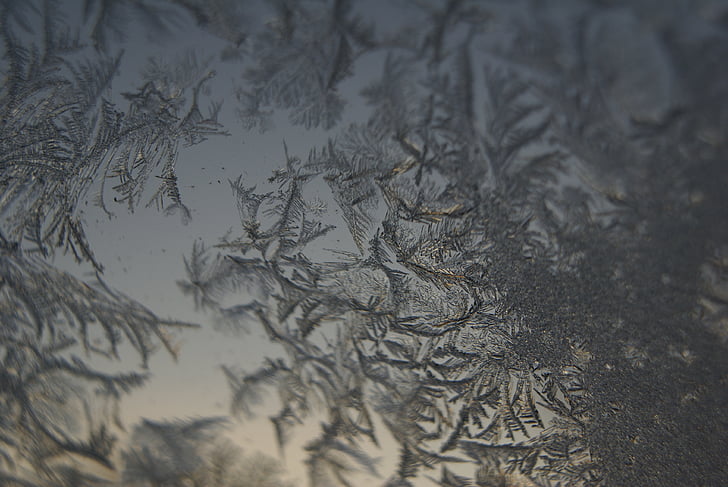 kristal es, es, musim dingin, beku, dingin, jendela, latar belakang